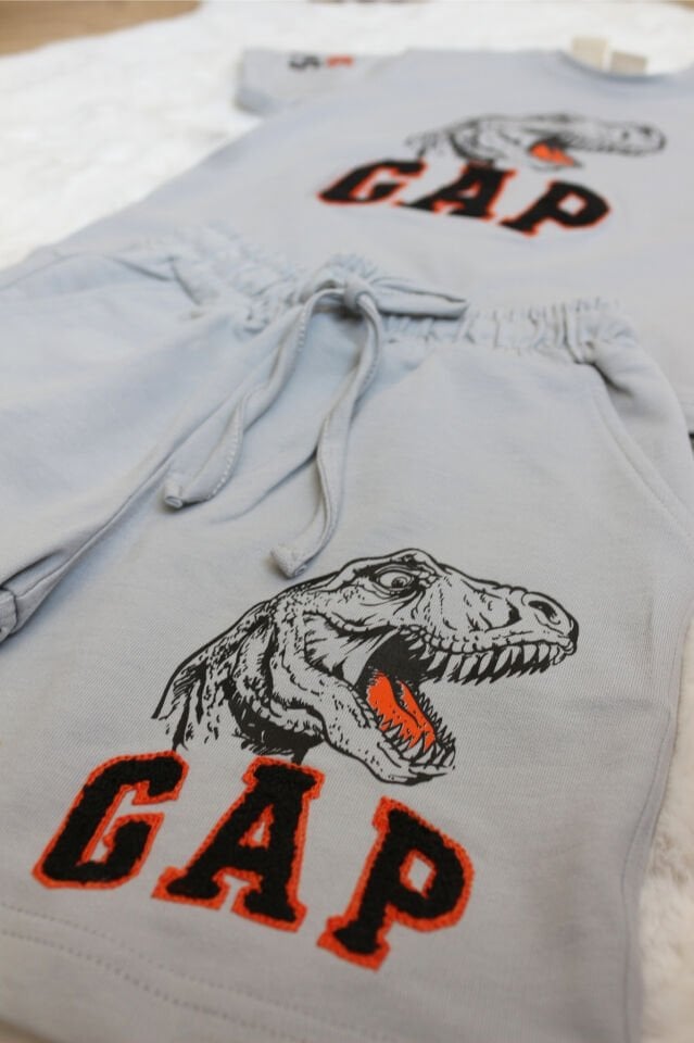 Dinozor Baskılı Erkek Çocuk Takım