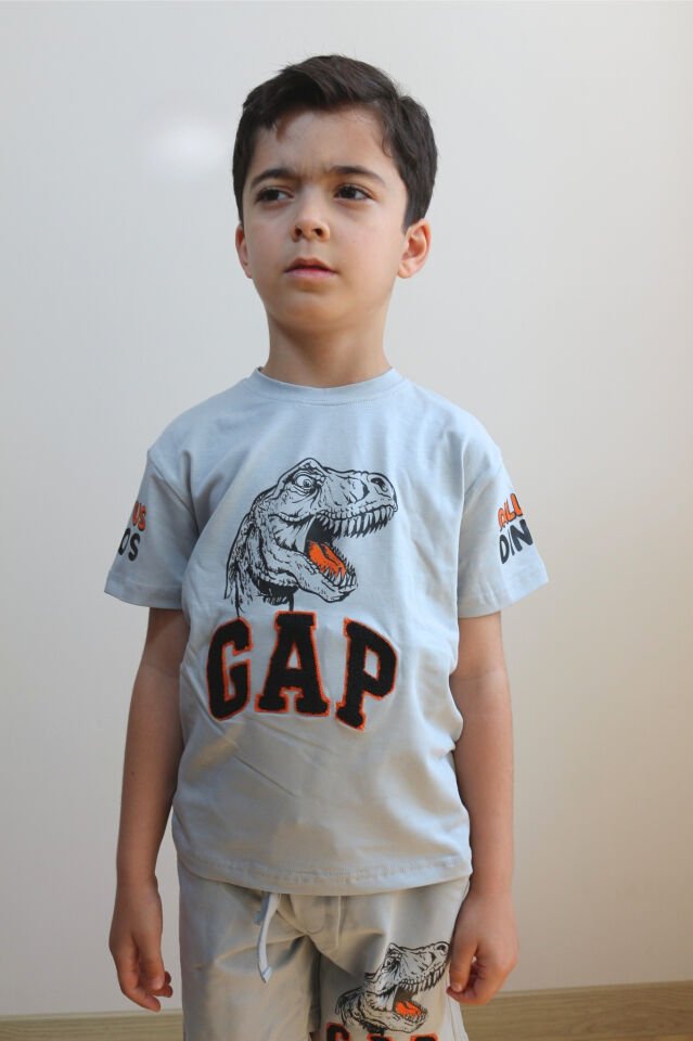 Dinozor Baskılı Erkek Çocuk Takım