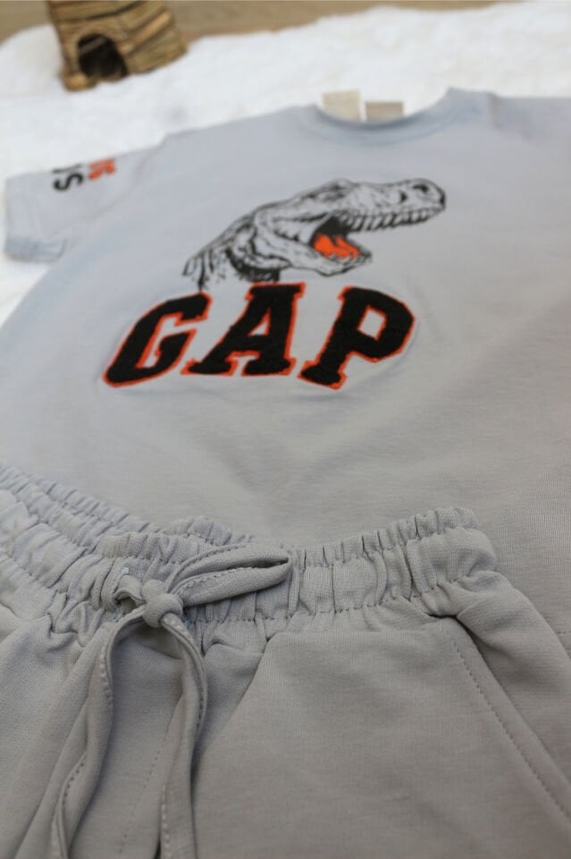 Dinozor Baskılı Erkek Çocuk Takım